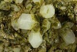 Sparkling Dark Green Epidote Crystals with Quartz - Turkey #303457-1